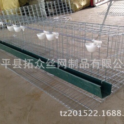 拓众笼厂供应优质彩色镀锌3层阶梯式4门蛋鸡笼大型饲养笼