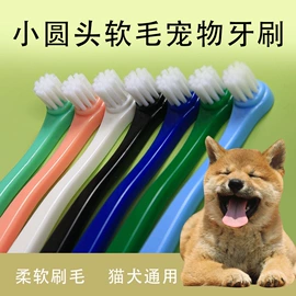 口腔清洁;牙刷;猫抓板