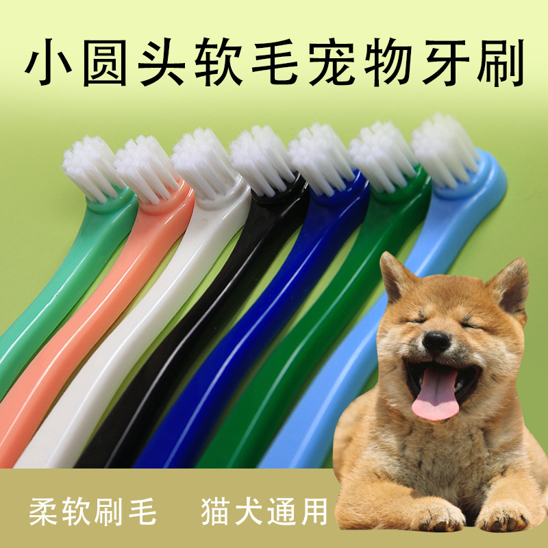 ペット歯ブラシ ペット用品 歯のクリーニング 使い捨て丸頭歯ブラシ 個別包装 口腔クリーニング|undefined