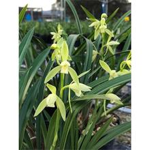 �m�����P�ؽ��m�����̨�Gֲ�����F�������m�ݻ������Ԅ��m����