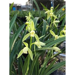 �m�����P�ؽ��m�����̨�Gֲ�����F�������m�ݻ������Ԅ��m����