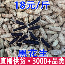 �ڻ��� ��ϸ���ڻ��� �ڻ����� �����ڻ��� �ڻ������l ���l