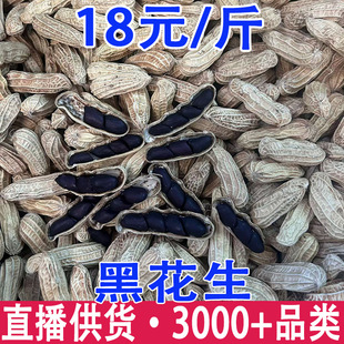 �ڻ��� ��ϸ���ڻ��� �ڻ����� �����ڻ��� �ڻ������l ���l
