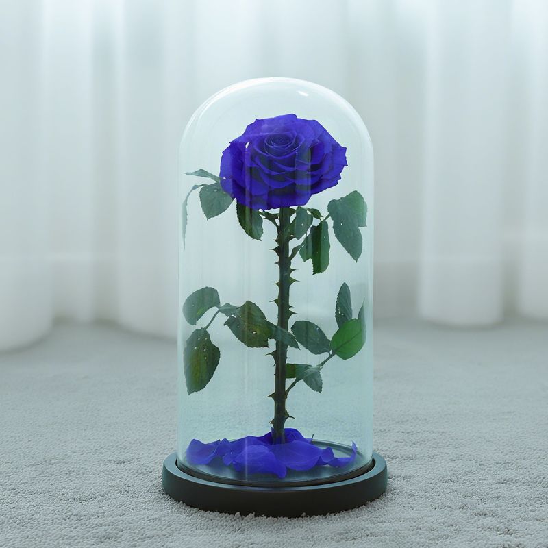 永生花玻璃罩大王子单朵玫瑰花七夕情人节女朋友生日礼物永生花|undefined