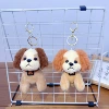 Hairy-eared dog (single price}