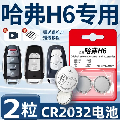 Haver H6 Key Battery 3rd Car Keys - haval-h6-dedicated-cr2032-two-pieces-screwdriver