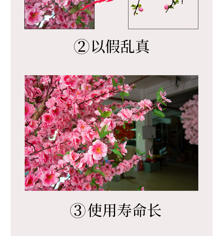 桃花树详情_07.jpg