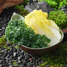 A5�ܰ��´�ɽҰ�L��偵�����߲˺��J�P����ɽͬ�����÷´ɮ��αP