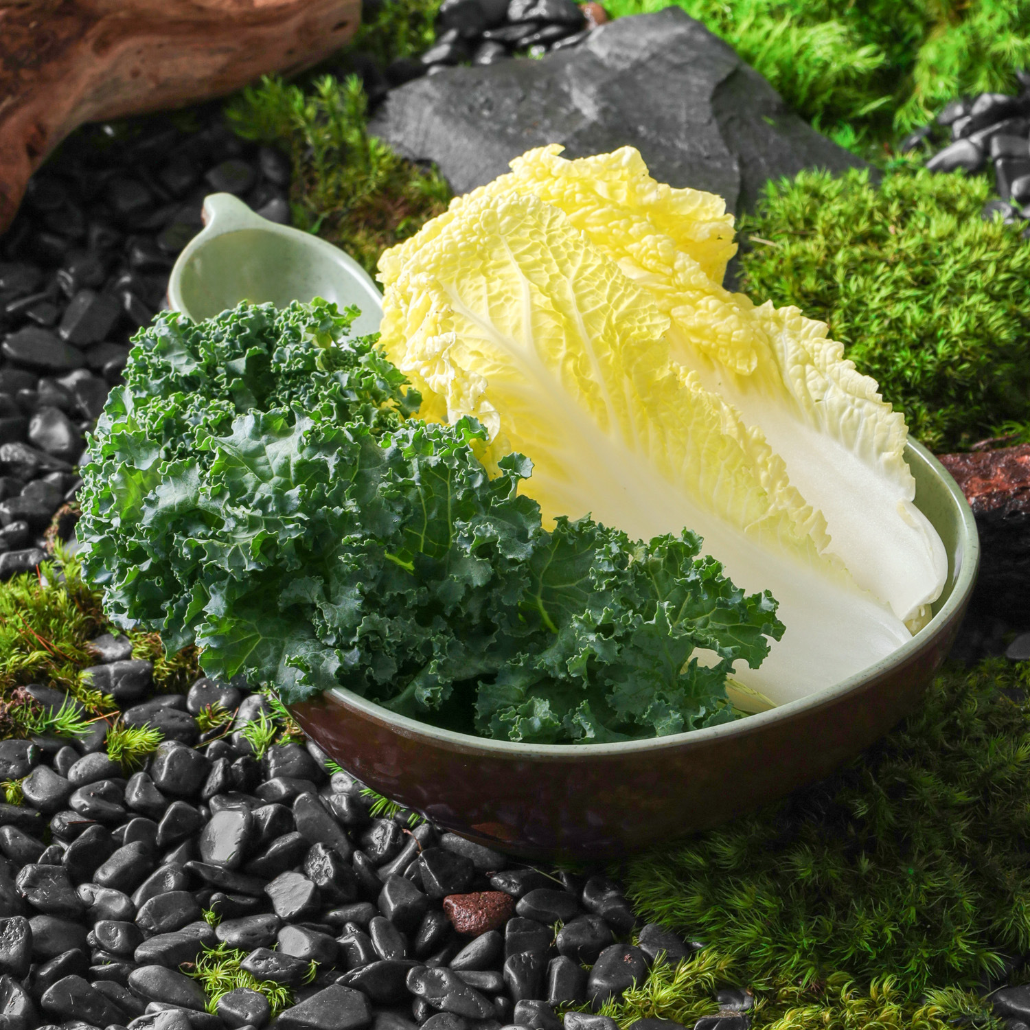 A5密胺仿瓷山野风火锅店菌菇蔬菜葫芦盘三出山同款商用仿瓷异形盘