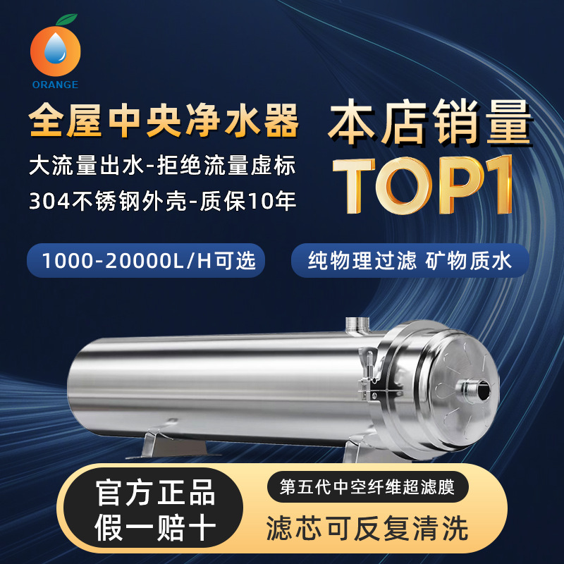 Central Water Purifier Large Flow Whole House Home Kitchen Anti-Scaling Pipe Stainless Steel Ultrafiltration Water Purifier Cross-Border Supply