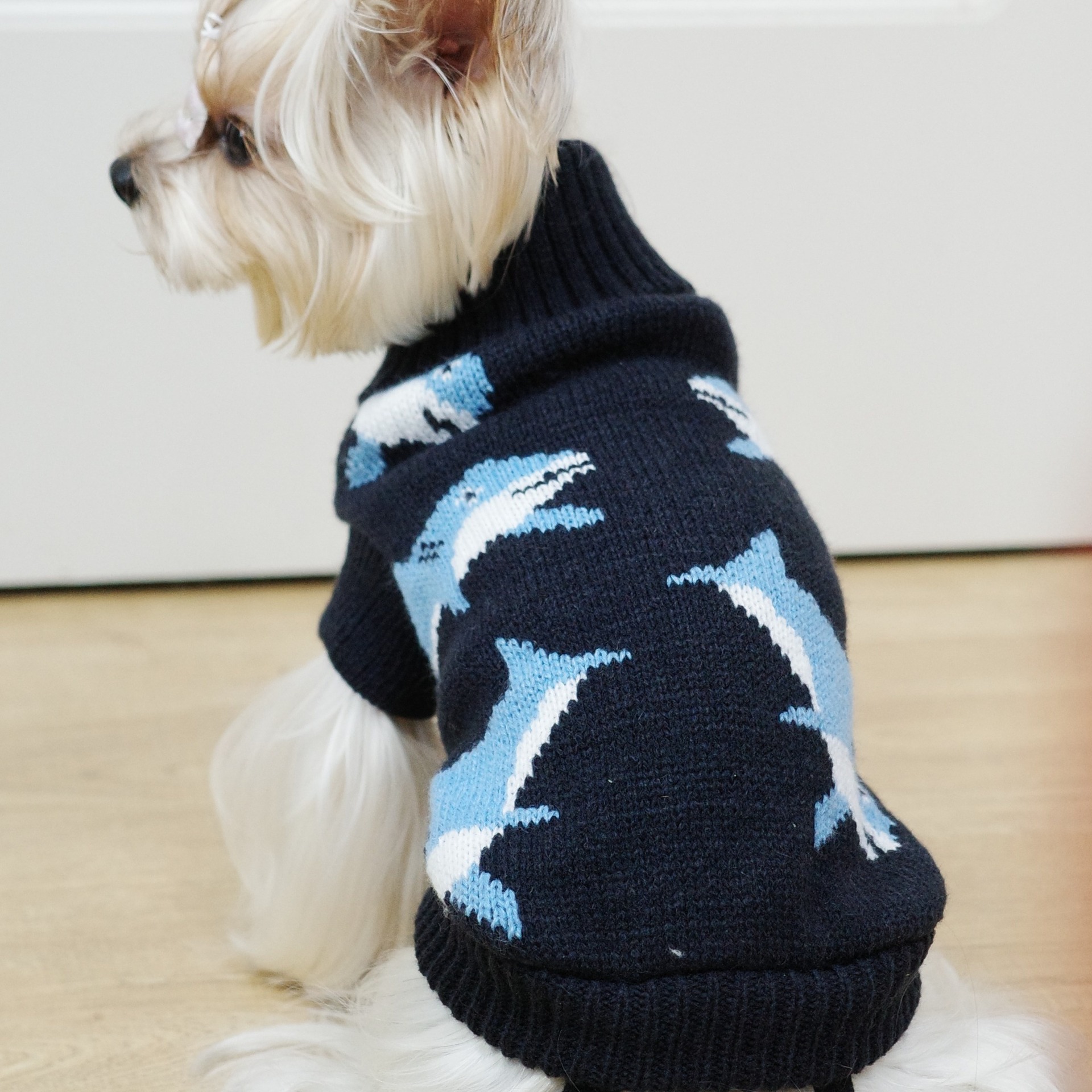 犬ニットセーター秋冬サメ柄暖かいペット服小型犬テディビションかわいい服