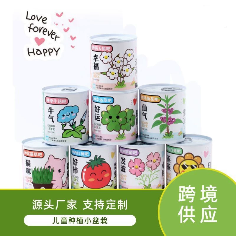 Посадка детских банок с цветочными волшебными бобами