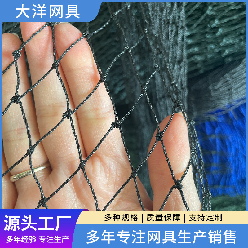 厂家出售结实农用防鸟网 抗阻燃正方形防鸟网 农作物用蔬菜防鸟网