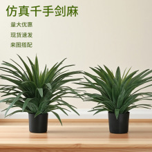 ǧ�ք������Gֲ�����m���Ա��W�Ҿ��b[���Ƶꙻ���쾰��ֲ��