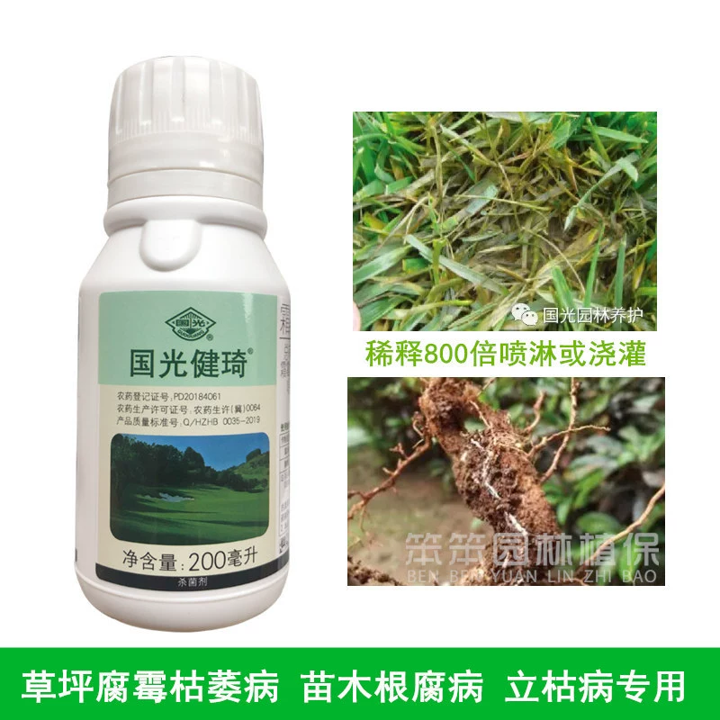 Guoguang Jianqi Downicarb гидрохлорид + маломорин дерн Pythium Wilt Болезнь Внезапная болезнь Блайт Фунгицид