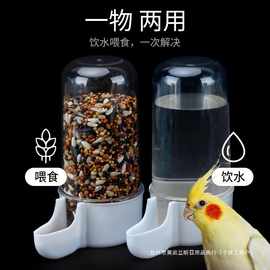 鹦鹉鸟食罐自动饮水器鸟用喂食器八哥防撒食盒喂鸟信鸽子用品鸽具
