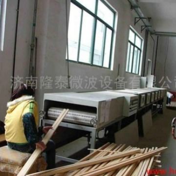 优惠供应小型灭机就选济南隆拓微波杀设备|微波干燥食品设备