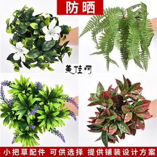 ����d���~С�Ѳ� ֲ��Gֲ������xʯ��~�d�ӻ�С�Gֲ��˹��