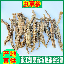 ��ș�ĵ؅� �x�݅� ����� ���Q�� �񹝅��x�݅���؛���l