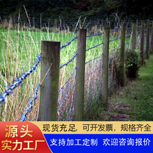 ���P䓽z���K���P䓎��F��޼���F�z�W���ڷ����̷��I�̷����W�F؛