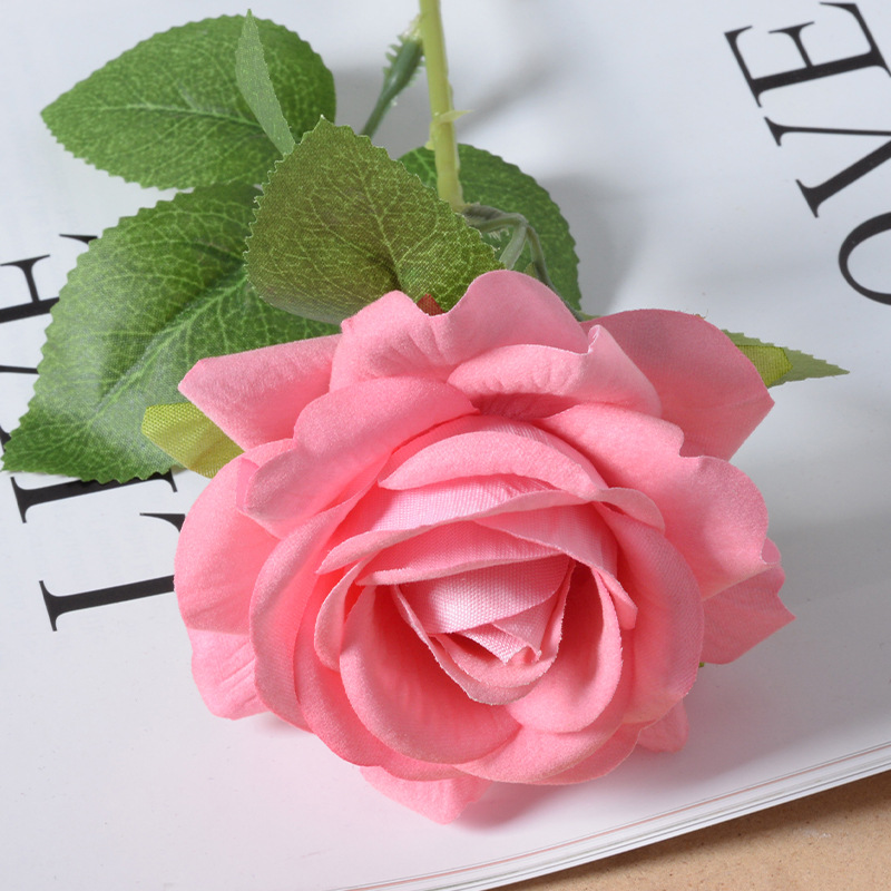 Aisha Rose Deep Powder