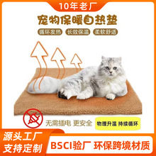 ���ȵ������Զ����ȱ��µ湷��è��ɲ�ϴ��ϴ���������ѵ汬��