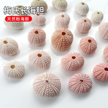 ��Ȼ��đ���˱� �՚��P���辰�쾰diy�Ҿ��bۺ�đ���۰׺�đ��