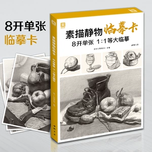 [素描静物临摹卡8开临摹范本组合画册集美术基础罐子道具结构解析]