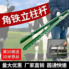 ���������U�F�z�W��߅����Y�ͼ��^䓹�֧�ΗU���ټ������F�ˈ@1.5