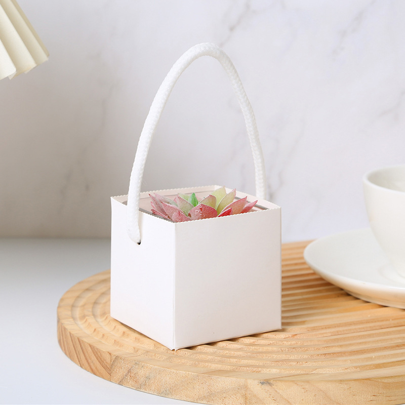 スポット卸売ステッカークラフト紙スーツケースミニ多肉植物フラワー包装箱緑植物小さな鉢植えボックス|undefined