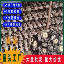 �����㹽����Ģ�����㹽������؛�S��ֱ�l���l��ަ��ζ����