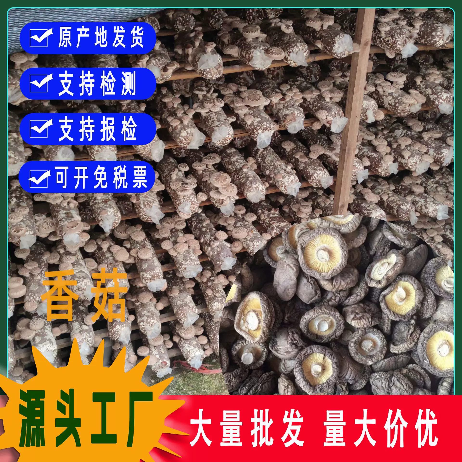 古田香菇冬菇蘑菇干香菇菌菇干货厂家直发批发香蕈香味花菇