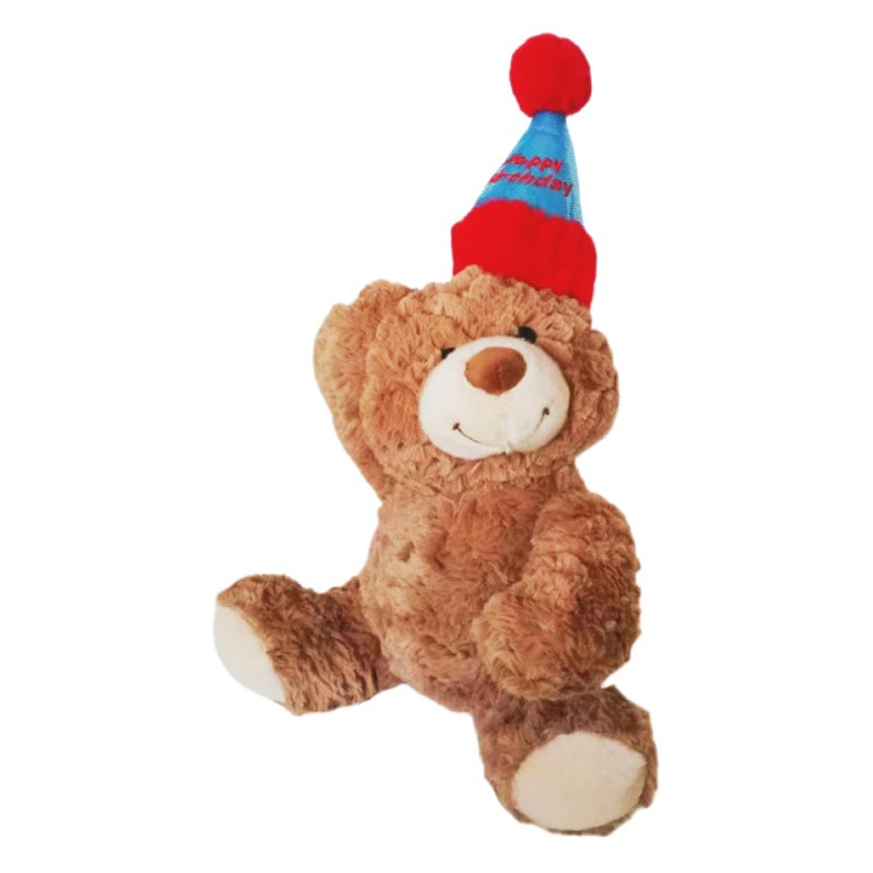 Aurora cumpleaños muñeca de oso peluche lindo peluche muñeca de oso sombrero de cumpleaños regalo muñeca de oso transfronterizo