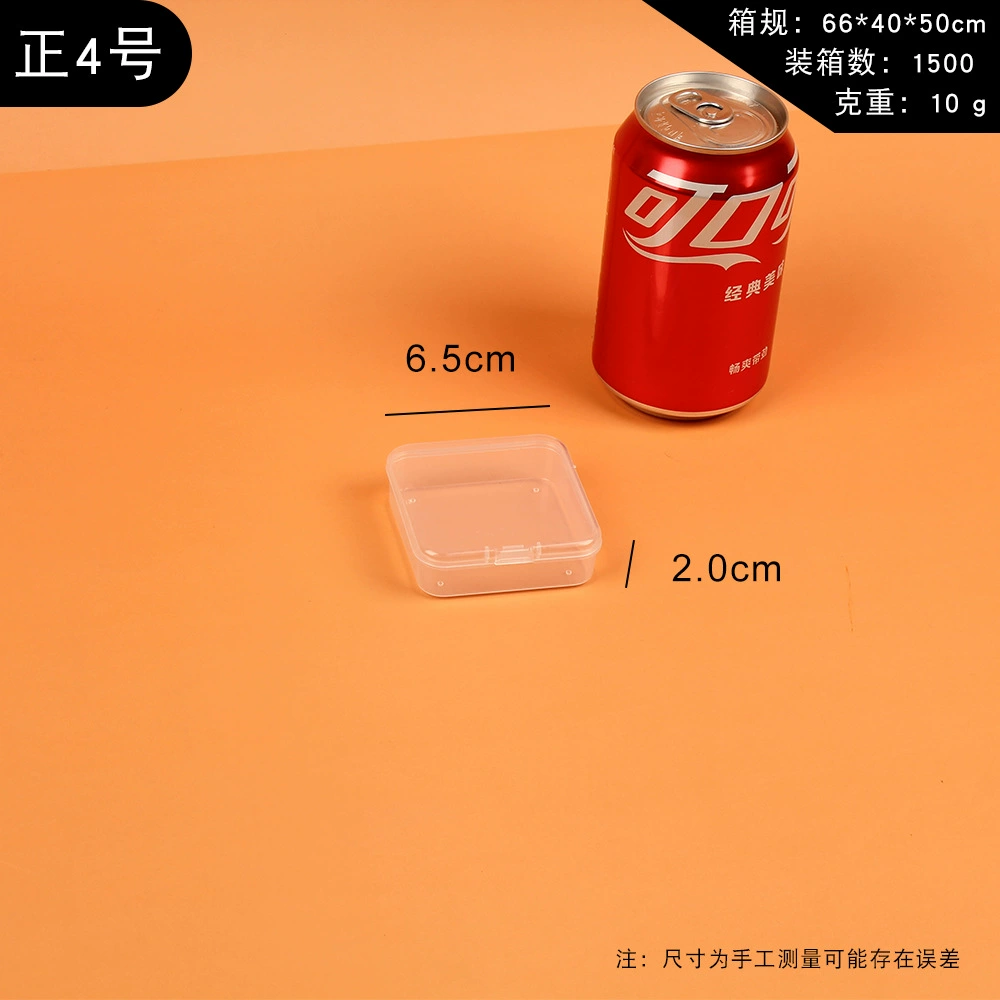RSNN Square Transparent Plastic Storage Box for Accessories with Beads - Clear Mini Box