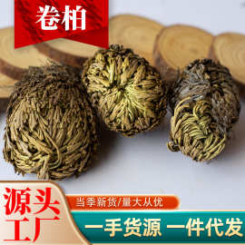 跑江湖地摊展销会散装九死还魂草 卷柏批发抖音快手爆款一件代发