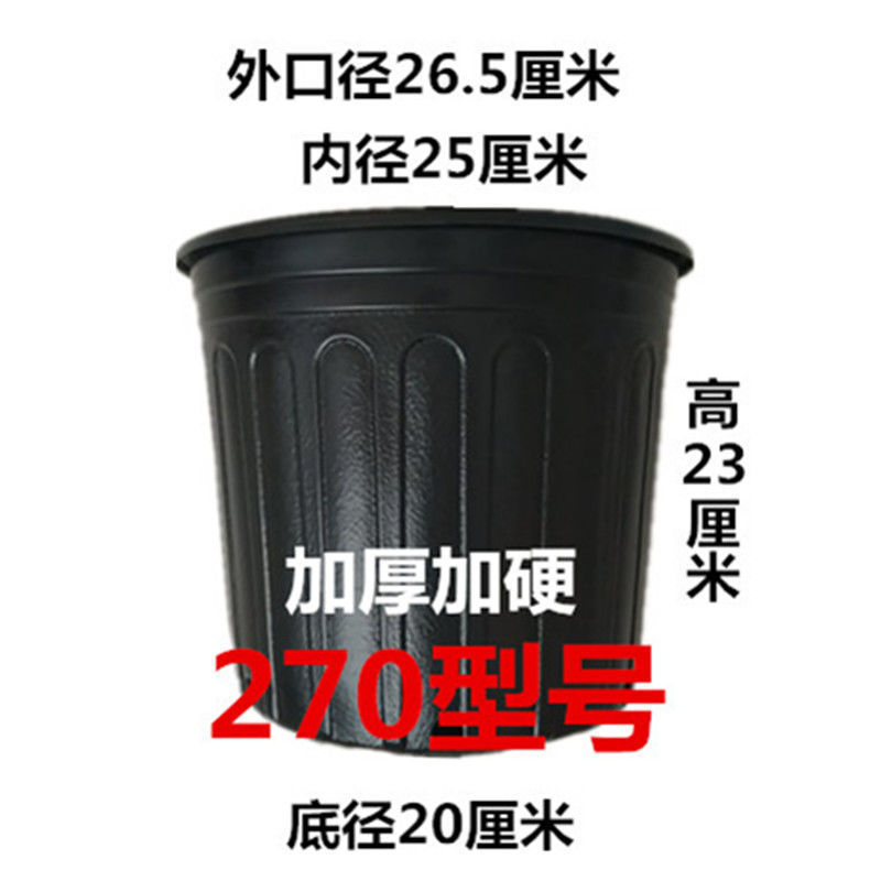 1e9efef3-0601-4234-9c1c-50334a9b6c5a.jpe