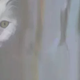 6006