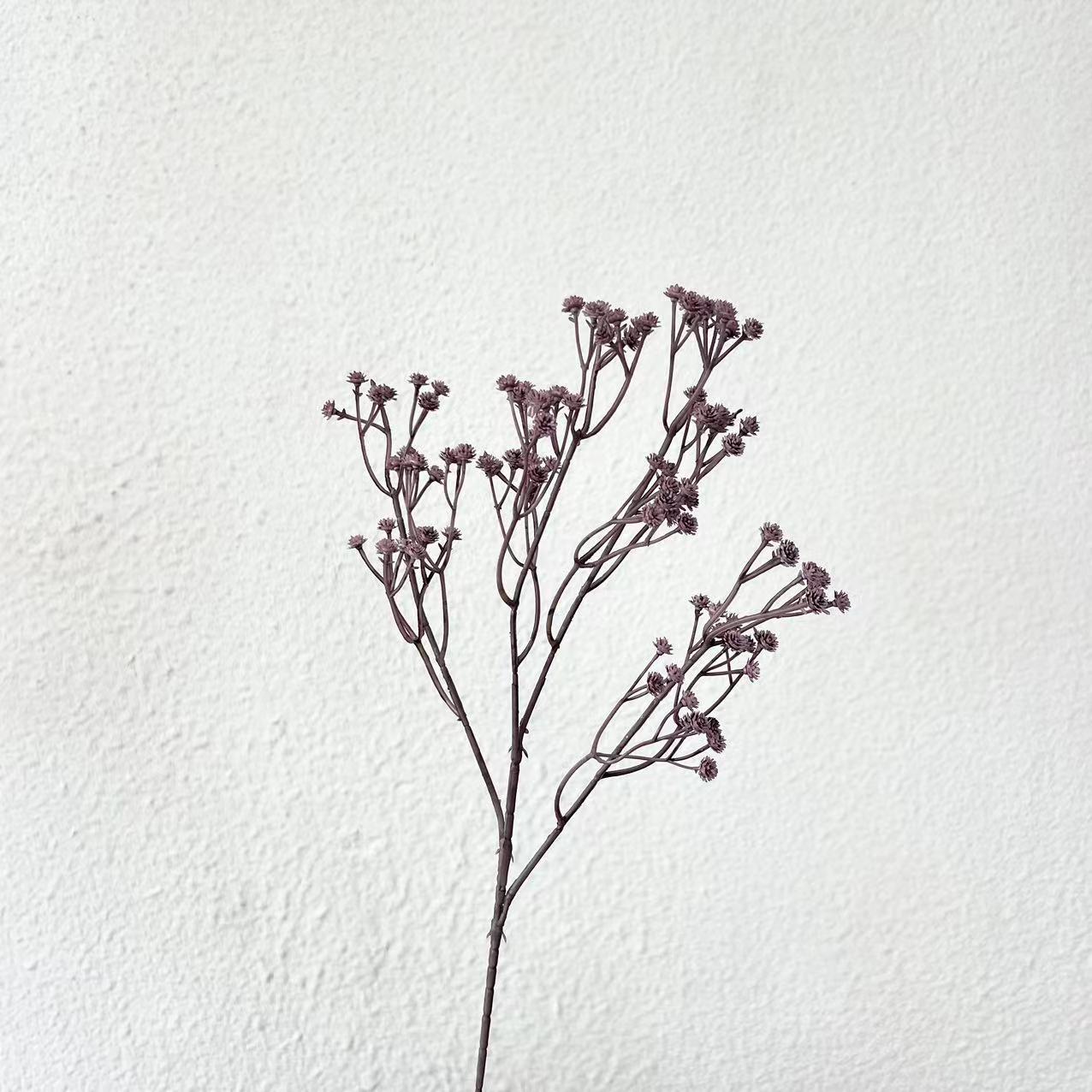 Estrella púrpura por todo el cielo