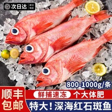 ����S�l؛�����u��tʯ���~�r��������F�~��������~ʯ���~