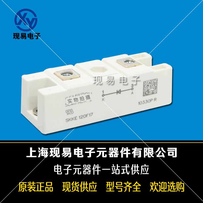 SKKE162/08 SKKE162/12 SKKE162/14 全新原装二极管现货