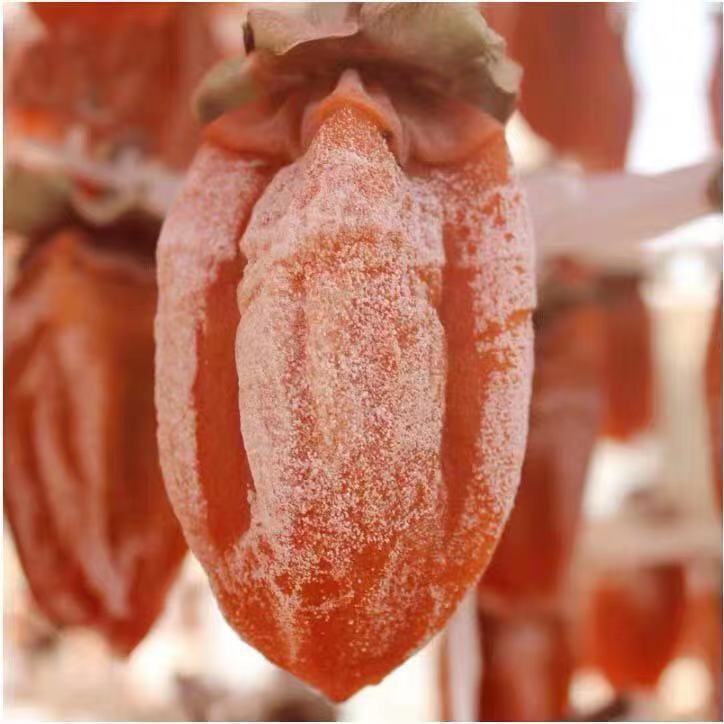 1f3046a7-c76a-4947-9454-1b14a0d95528.jpe