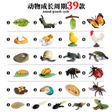 ���惺ͯ������̄���ģ����ߺ����������u֩�����ܳ��L���ڔ[��