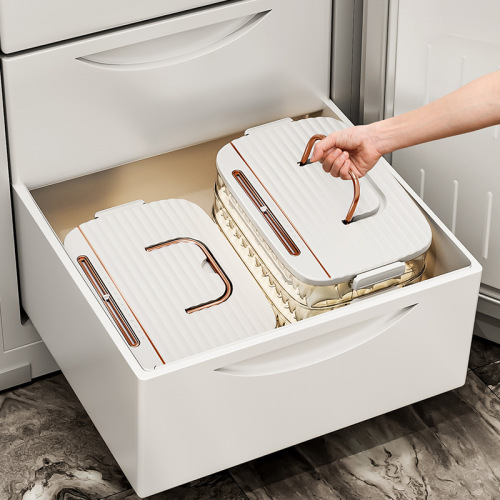 Dumpling storage box for refrigerator, food-grade freezing box tray, fresh-keeping wonton dumplings, quick-frozen meat packaging box