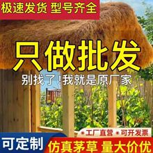 ����é��������b����Ϸµ��ݾ��^��é�ݷ�ˮ��Ƥ�r�Ҙ���ͤ�b�