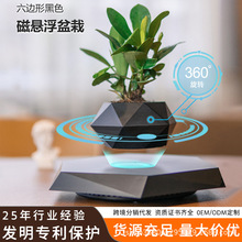 磁悬浮盆栽创意盆景工艺品礼品礼物新奇特家居摆件批发源头工厂