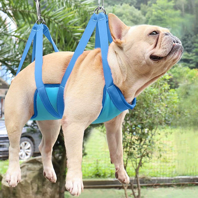 Трансграничные новые домашние животные косметический гамак кошка собака обрезка ногтей чистящие средства для больших собак