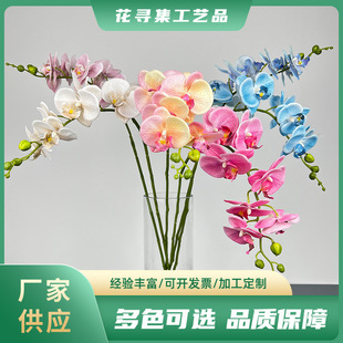 �߷����¿�7�^�Ų��W������m��c�Ҿ��b廨�쾰�����m�� �S��