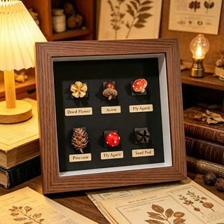 立体中空相框3cm深胡桃木色高透玻璃植物昆虫标本展示DIY自装画框