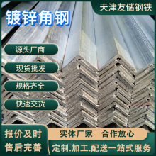 天津冲孔镀锌角铁等边角钢30*30 Q235货架材料4050接地极角钢