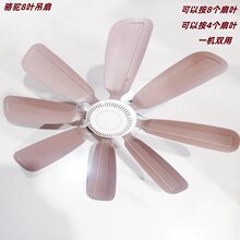 ��868���С���Ȳ��ʽ8�~�Î����D�~��20�߼�����������С�L��